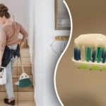 Домакините бяха призовани да третират домовете си с паста за