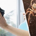 Един продукт почиства прозорците до блясък и се отървава от