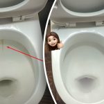 Един продукт ще избели тоалетната ви чиния до блясък: как