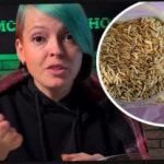 Как да изберете растения за сидер и да изненадате съседите