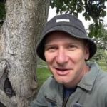 Кухото дърво не е присъда: доказан начин да удължите живота на дървото Кухото дърво не е присъда: доказан начин да удължите живота