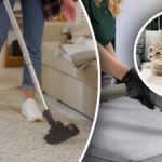 Няма да остане нито една следа: 7 стъпки за премахване на миризмата на урина от килима Няма да остане нито една следа: 7 стъпки за премахване