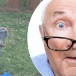 Странната находка край дървото озадачила съседа: каква тайна крие тя Странната находка край дървото озадачила съседа: каква тайна крие тя